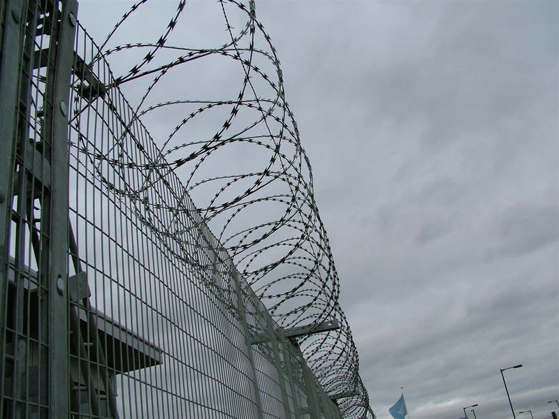 Razor coil concertina fixed along the top of a fence line for security — a completed Verulam Fencing job.