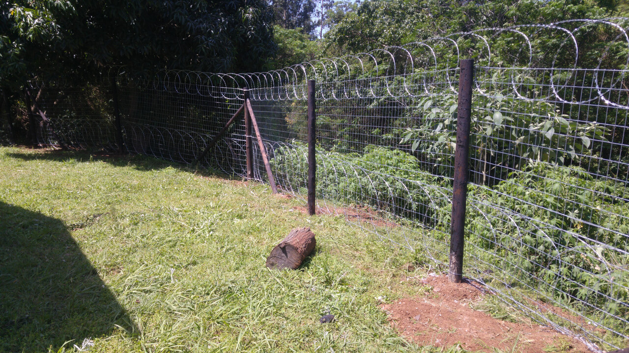 Weld-mesh fencing strained between creosote-treated timber posts.